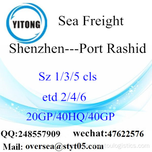 Mar del puerto de Shenzhen flete a Puerto Rashid